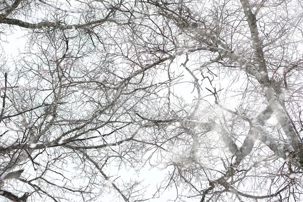 Paisagem de inverno de campos de país e estradas — Fotografia de Stock