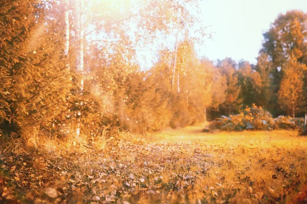 Slutet av sommarsäsongen i parken — Stockfoto