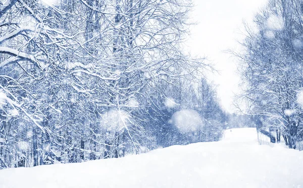 Landschap in de winterdag — Stockfoto