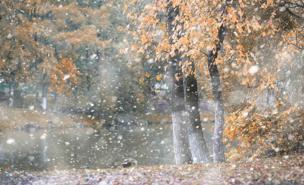 初雪中的秋天公园 — 图库照片