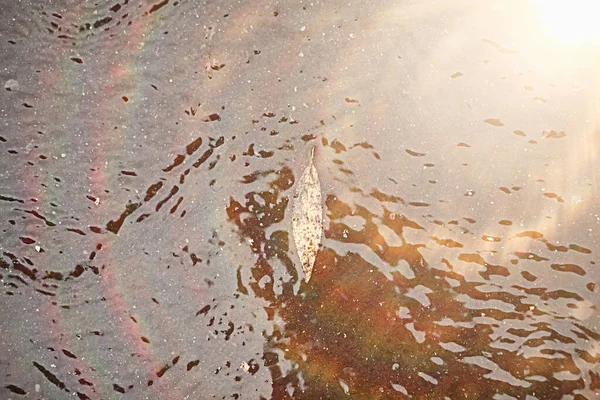 Lluvia de otoño en el parque —  Fotos de Stock