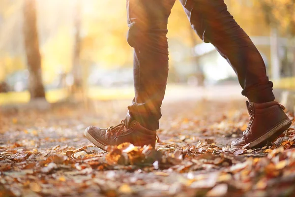 Parkta sonbahar arka plan