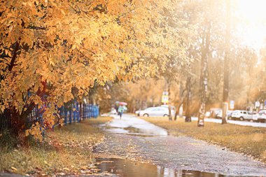 parkta sonbahar yağmur