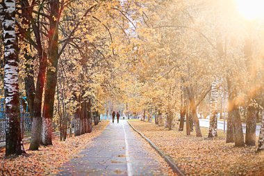 parkta sonbahar yağmur