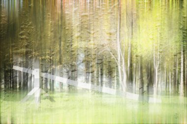 Yağmurlu bir günde sonbahar parkının bulanık görüntüsü 