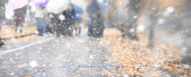 Arka plan sonbahar parkta ilk kar