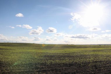 Yatay yaz mevsimindeyiz. Yeşil ağaç ve otların arasında kırsal arazi