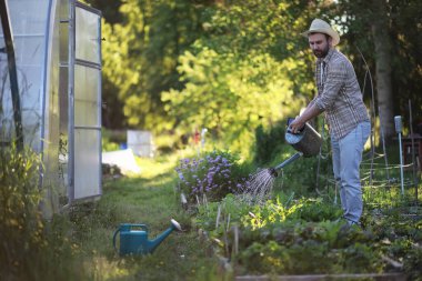 Adam çiftçi sebze Bahçe sulama
