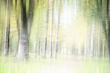 Yağmurlu bir günde sonbahar parkının bulanık görüntüsü