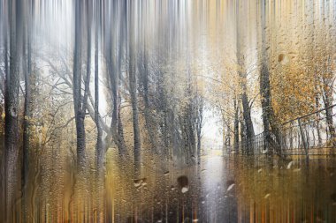 Park arka plan Sonbahar yağmur