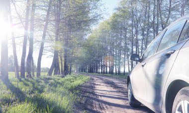 Yatay yaz mevsimindeyiz. Yeşil ağaç ve otların arasında kırsal arazi