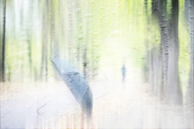 Parkta arka plan bahar yağmuru