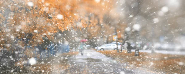 最初の雪の背景秋の公園 — ストック写真