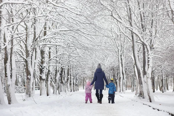 Snow-covered winter park and benches. Park and pier for feeding