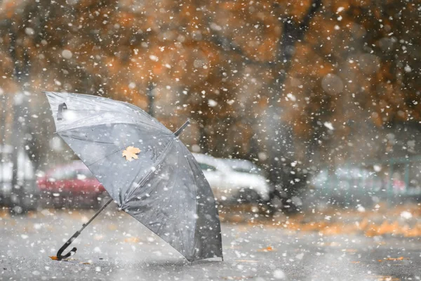 Parco autunnale nella prima neve — Foto Stock