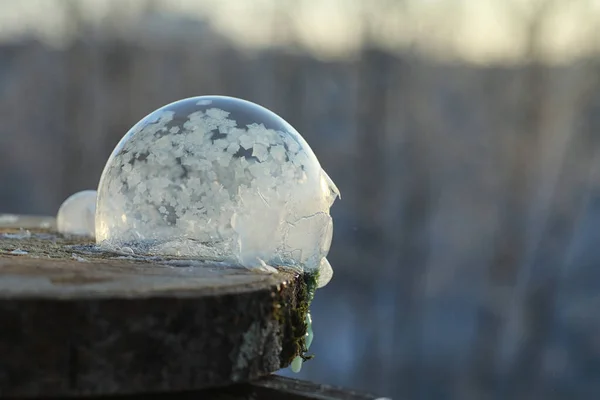 Soap bubbles freeze in the cold. Winter soapy water freezes in t — Stock Photo, Image
