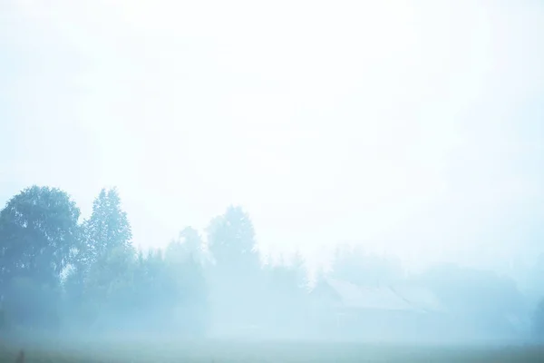 Fog in the field. Evening nature summer with white fog.