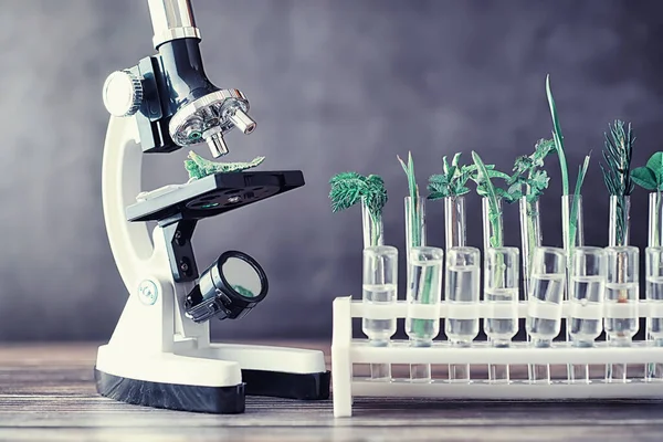 Mikroskop ve test bölümleri laboratuvardaki masanın üzerinde.. — Stok fotoğraf