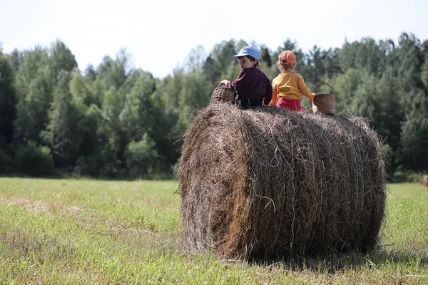 Los niños van al bosque por setas — Foto de Stock