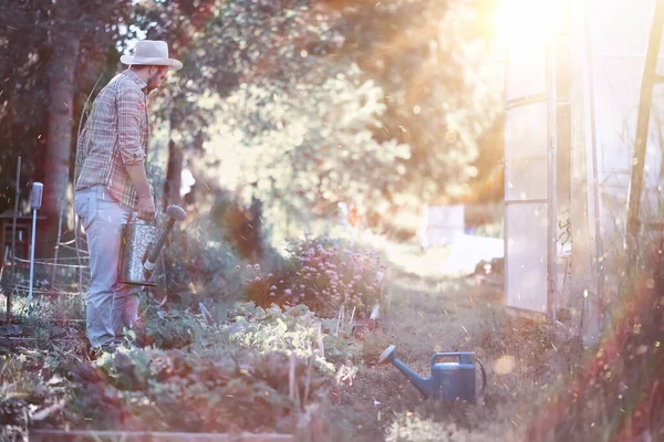 Homem agricultor regando uma horta — Fotografia de Stock