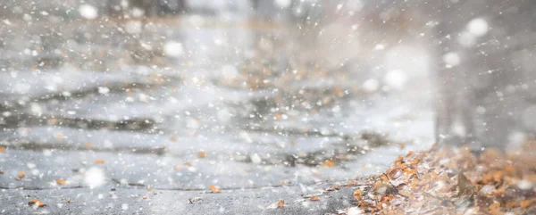 Fondo parque de otoño en la primera nieve —  Fotos de Stock