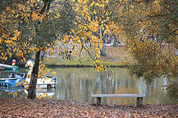Lluvia de otoño en el parque —  Fotos de Stock