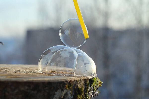 Soap bubbles freeze in the cold. Winter soapy water freezes in t