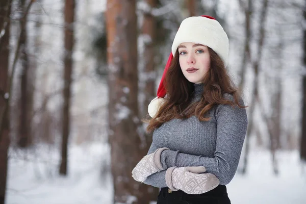 Una joven en un parque de invierno en un paseo. Vacaciones de Navidad en t — Foto de Stock