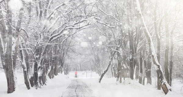 Verschneiter Winterpark und Bänke. Park und Anlegestelle zum Füttern — Stockfoto