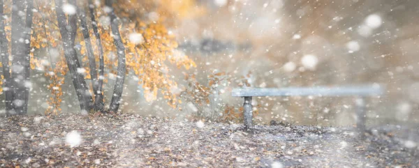 Őszi park háttér az első hó — Stock Fotó