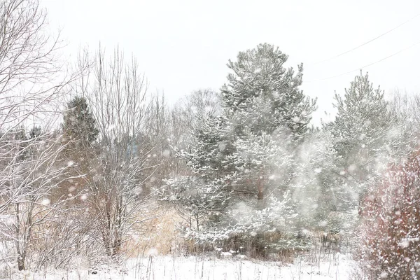 Paesaggio invernale di campi e strade di campagna — Foto Stock