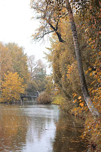 Осенний дождь в парке — стоковое фото