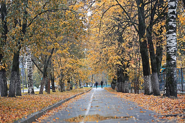 Autumn rain in the park — Stock Photo, Image