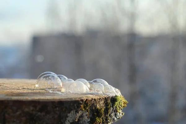 As bolhas de sabão congelam no frio. A água ensaboada do inverno congela em t — Fotografia de Stock