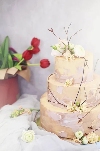 Mooie feestelijke taart biscuit met verschillende crèmes — Stockfoto