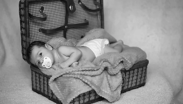 바구니에 누워 있는 갓 태어난 아기 — 스톡 사진