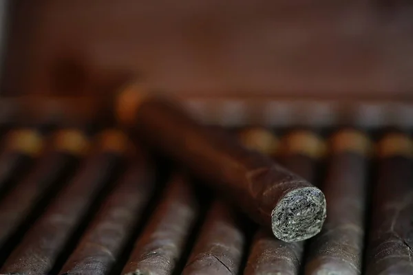 Grande caixa de madeira de charutos artesanais cubano — Fotografia de Stock