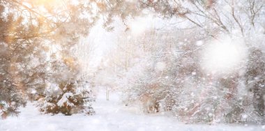 Winter Park 'ta. Karlı havada manzara manzarası. Ocak.
