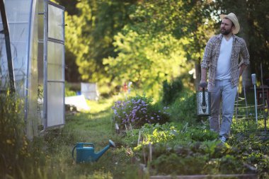 Adam çiftçi sebze Bahçe sulama