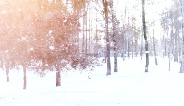 Kış manzara kar expanses kaplı. Kışın bir parkta 