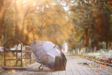 Parkta sonbahar arka plan