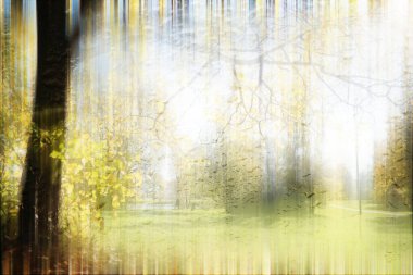 Yağmurlu bir günde sonbahar parkının bulanık görüntüsü