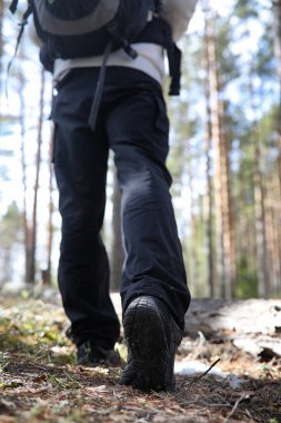 Bir turist bir çam ormanı ile bir sırt çantası içinde bir adamdır. A tr hiking