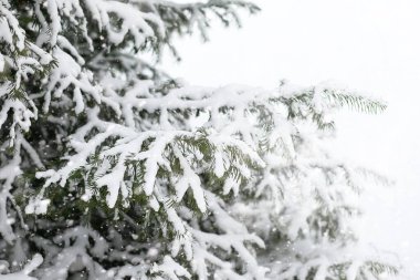 Kırsal alanların ve yolların kış manzarası