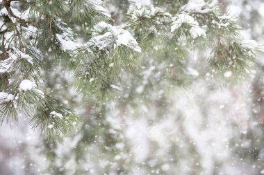Kırsal alanların ve yolların kış manzarası