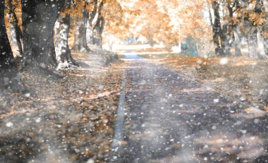 İlk karda sonbahar parkı