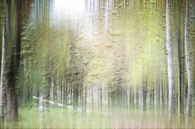 Yağmurlu bir günde sonbahar parkının bulanık görüntüsü 