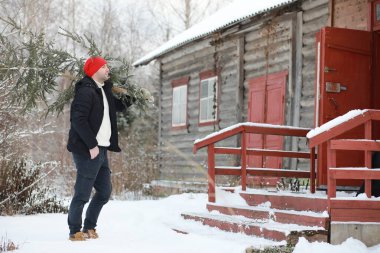 Sokakta kesilmiş bir Noel ağacı olan bir adam. N için Hazırlık