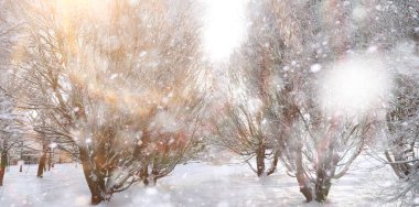 Winter Park 'ta. Karlı havada manzara manzarası. Ocak.