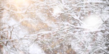 Winter Park 'ta. Karlı havada manzara manzarası. Ocak.